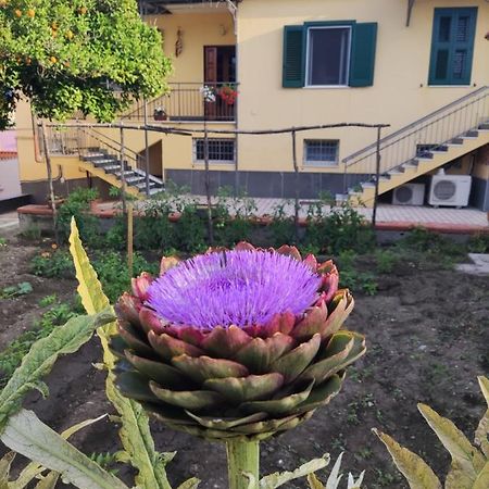 Antoniet Bed & Breakfast Naples Exterior photo