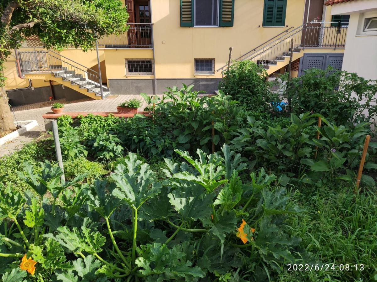 Antoniet Bed & Breakfast Naples Exterior photo