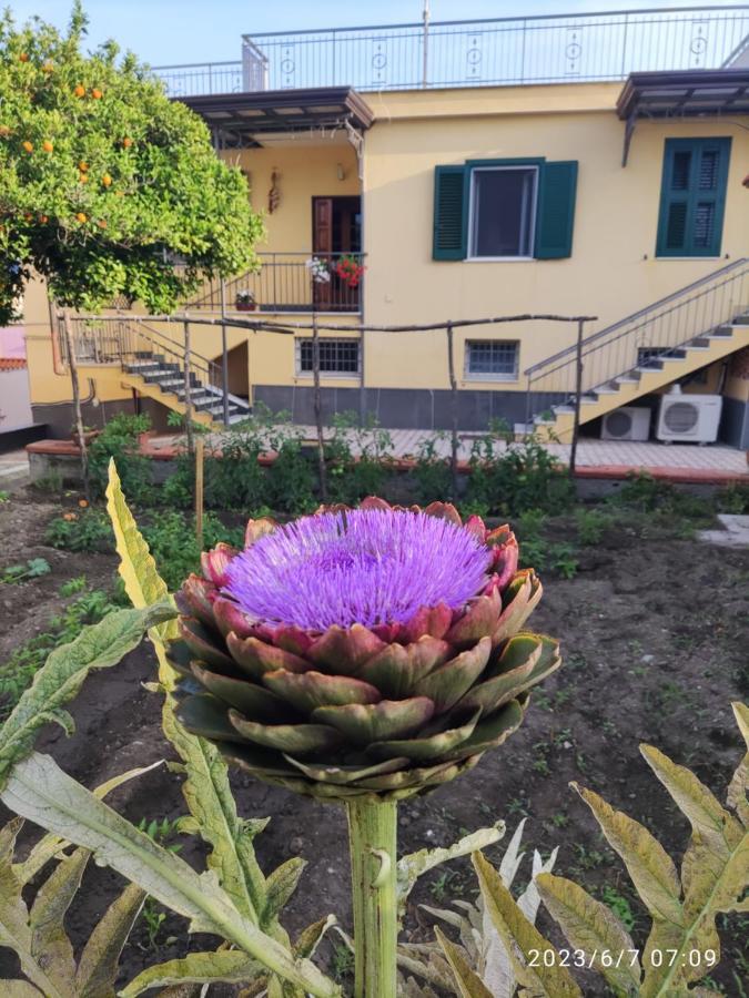 Antoniet Bed & Breakfast Naples Exterior photo